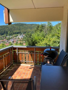 Ferienwohnung Schöne Aussicht